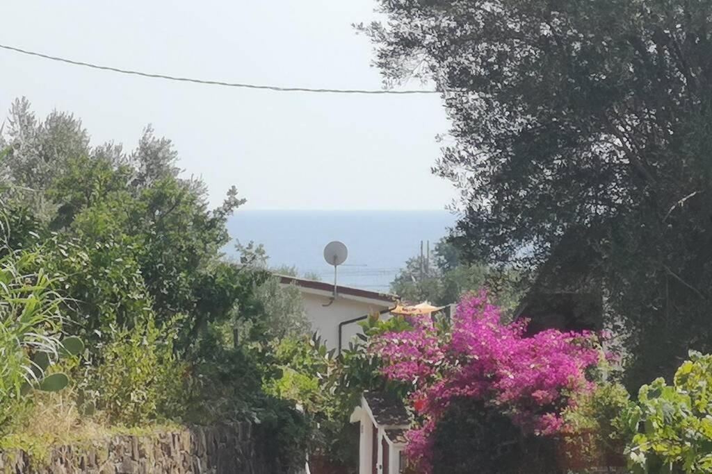 Villa Cilento Mare, Bellissima Con Ampio Giardino กาปิเตลโล ภายนอก รูปภาพ