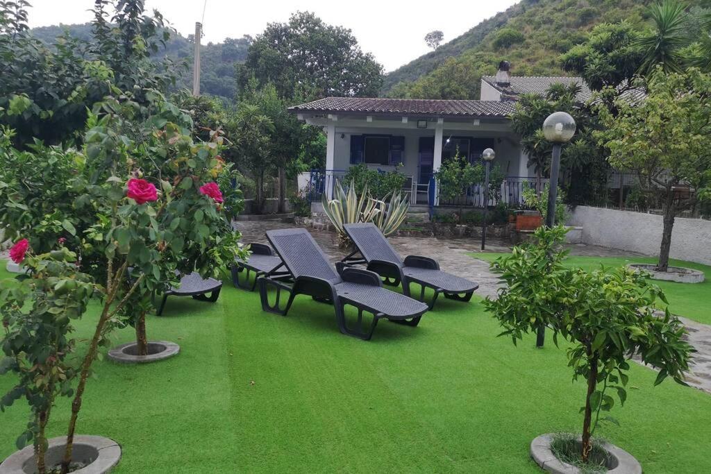 Villa Cilento Mare, Bellissima Con Ampio Giardino กาปิเตลโล ภายนอก รูปภาพ