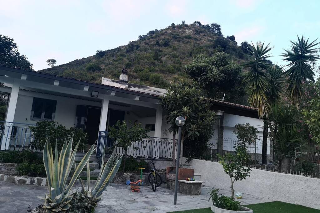 Villa Cilento Mare, Bellissima Con Ampio Giardino กาปิเตลโล ภายนอก รูปภาพ